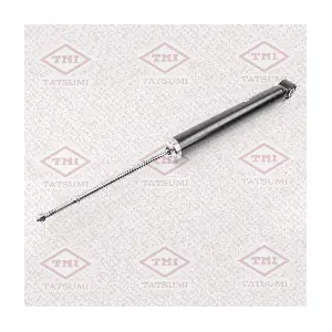 TAA5063 TATSUMI