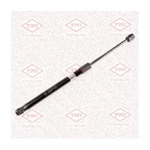 TATSUMI TAF1207