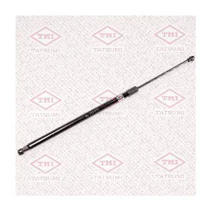 TAF1065 TATSUMI