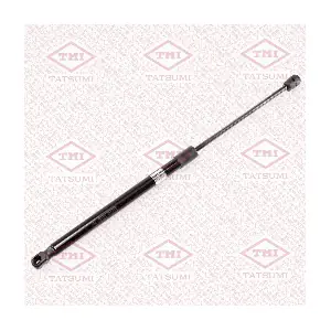 TAF1179 TATSUMI