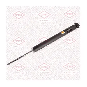 TAA5219 TATSUMI