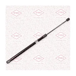TAF1123 TATSUMI