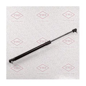 TAF1098 TATSUMI