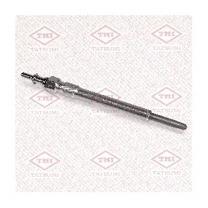 TATSUMI THQ1008