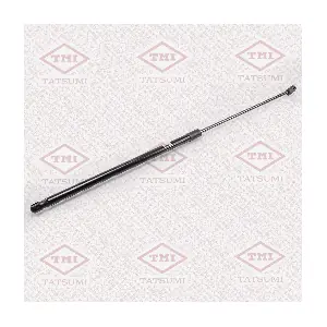TAF1007 TATSUMI