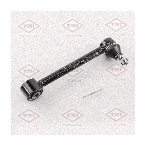 TATSUMI TEE1015