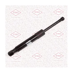 TAF1232 TATSUMI