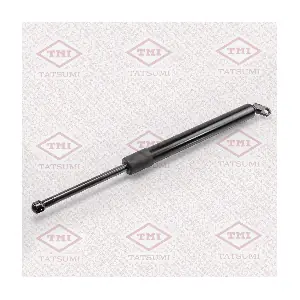 TAF1011 TATSUMI