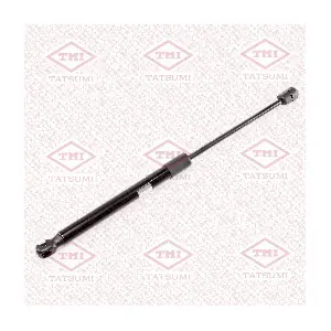 TAF1158 TATSUMI