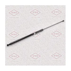 TATSUMI TAF1012