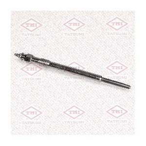 TATSUMI THQ1006