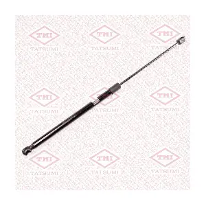 TAF1142 TATSUMI
