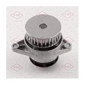 TGF1077 TATSUMI