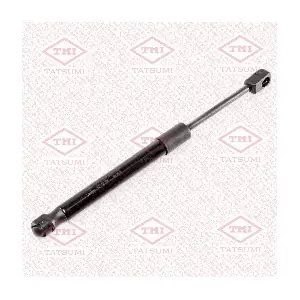 TAF1155 TATSUMI