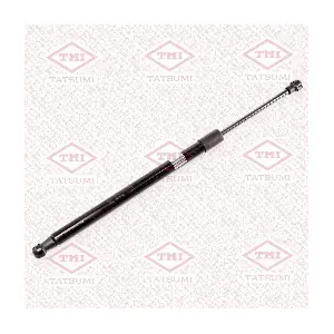 TAF1137 TATSUMI