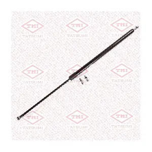 TAF1084 TATSUMI