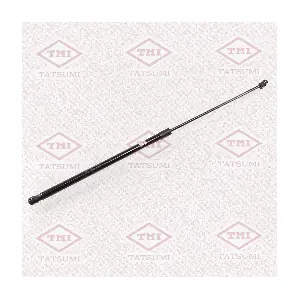 TAF1105 TATSUMI