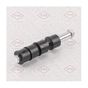TEB1127 TATSUMI