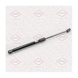 TAF1029 TATSUMI