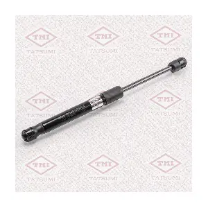 TAF1048 TATSUMI