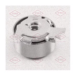 TATSUMI TFD1289