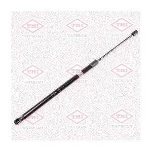 TAF1162 TATSUMI