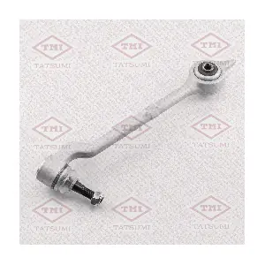 TATSUMI TEE1809L