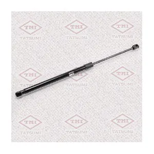 TAF1056 TATSUMI