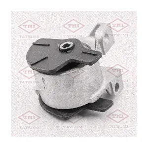 TEG1330 TATSUMI