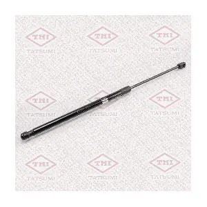 TAF1051 TATSUMI