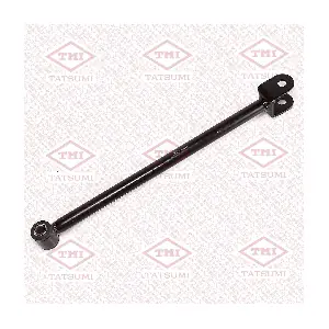 TATSUMI TEE1077