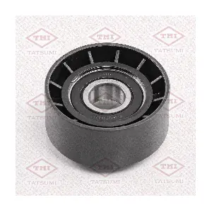 TATSUMI TFD1169