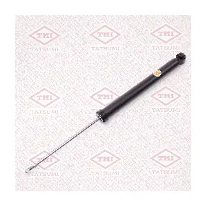 TAA5179 TATSUMI
