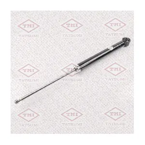 TATSUMI TAA5071