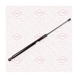 TAF1139 TATSUMI