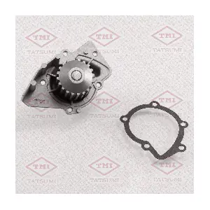 TGF1099 TATSUMI