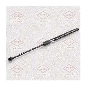 TAF1033 TATSUMI