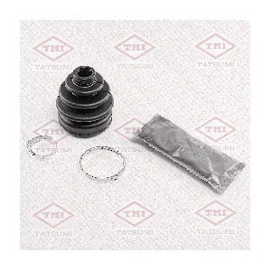 TATSUMI TDC1001