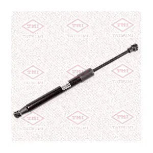 TAF1181 TATSUMI