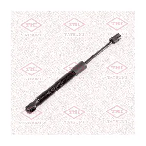 TAF1104 TATSUMI