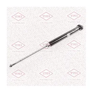 TAA5053 TATSUMI