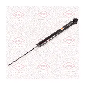 TAA5218 TATSUMI