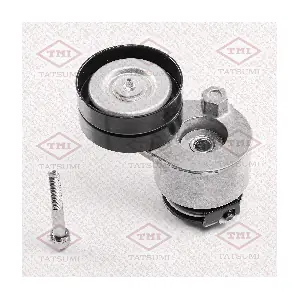 TATSUMI TFD1053