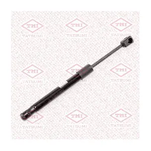 TAF1129 TATSUMI