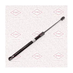 TAF1049 TATSUMI