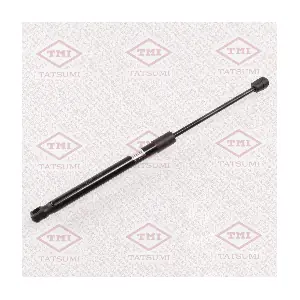 TAF1211 TATSUMI