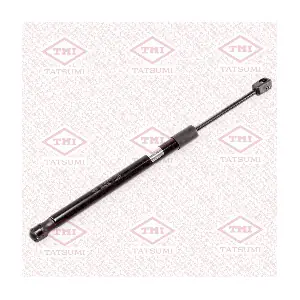 TAF1126 TATSUMI