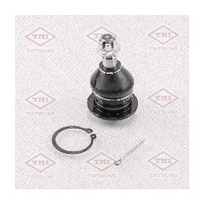 TATSUMI TEA1054