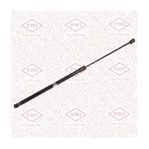 TAF1254 TATSUMI