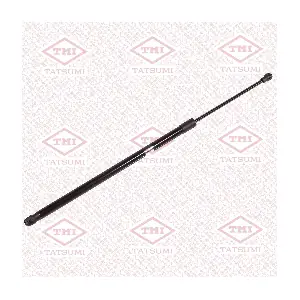 TAF1233 TATSUMI